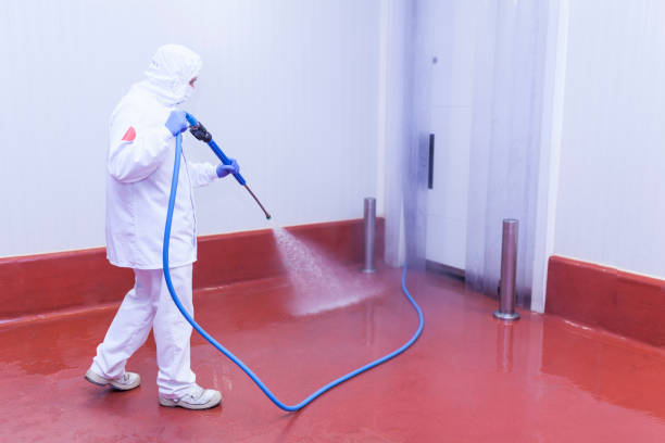 Best Rust Removal  in Crystal Lake, IL