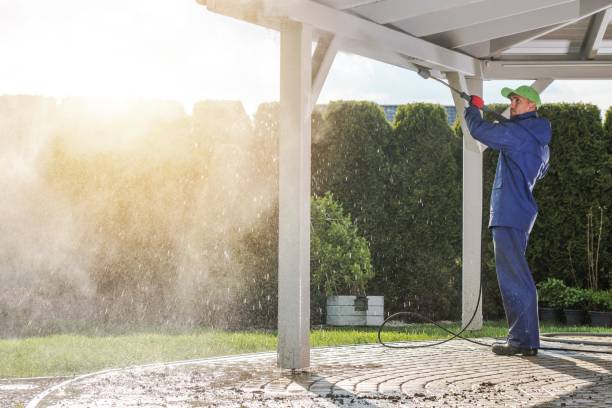 Best Driveway Pressure Washing  in Crystal Lake, IL