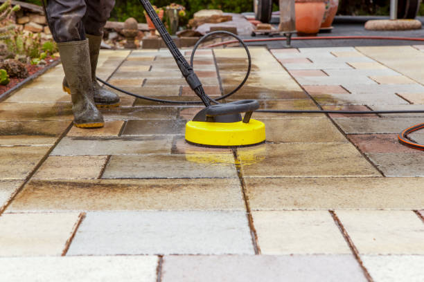 Best Sidewalk and Walkway Cleaning  in Crystal Lake, IL