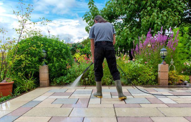 Animal Enclosure Cleaning in Crystal Lake, IL